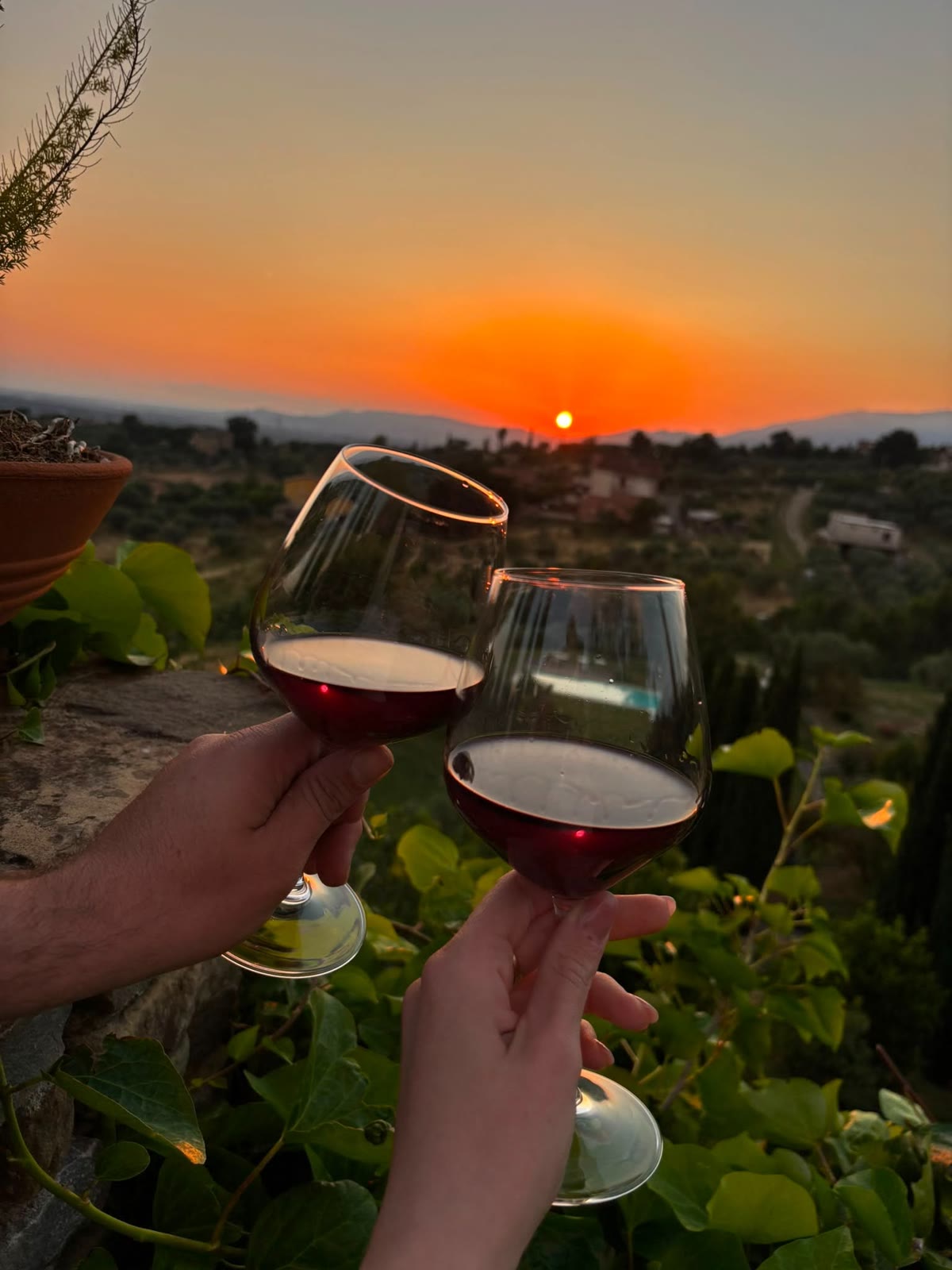 Due calici di vino rosso alzati al tramonto, con la valle e gli uliveti sullo sfondo